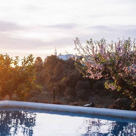 Villa Riurau De Maria Parcent Esterno foto